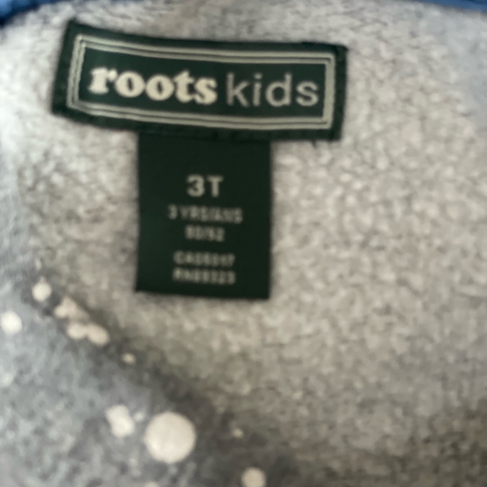 3T Roots Hoodie - Picture 3 of 3